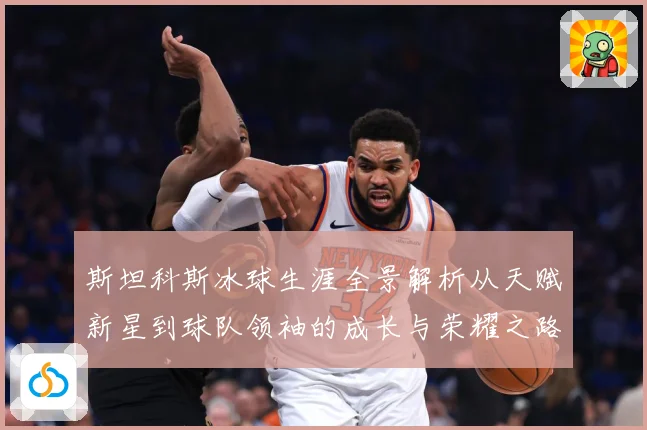 斯坦科斯冰球生涯全景解析从天赋新星到球队领袖的成长与荣耀之路：最新赛事动态与深度分析